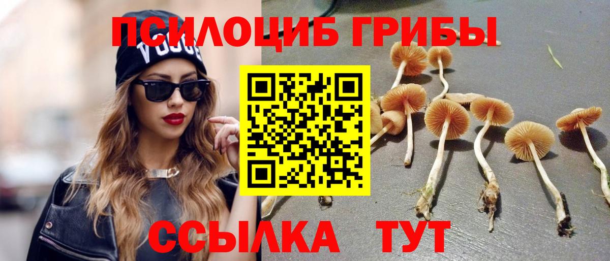 Галлюциногенные грибы ЛСД Карабулак