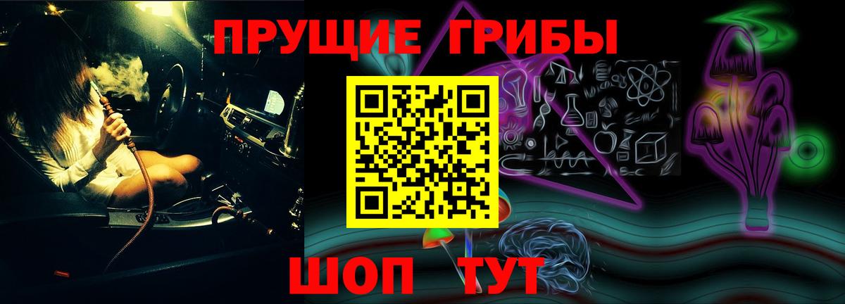 Карабулак  купить наркотик  Вход с VPN  Псилоцибиновые грибы GOLDEN TEACHER 